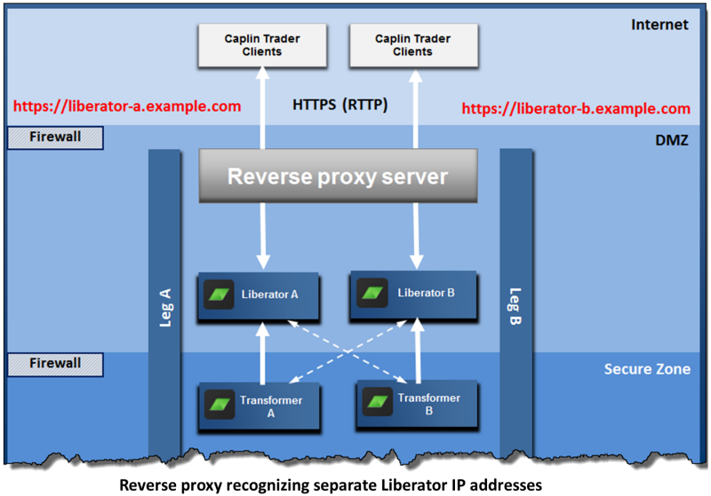 Reverse Proxy Recognizing Separate Liberator
