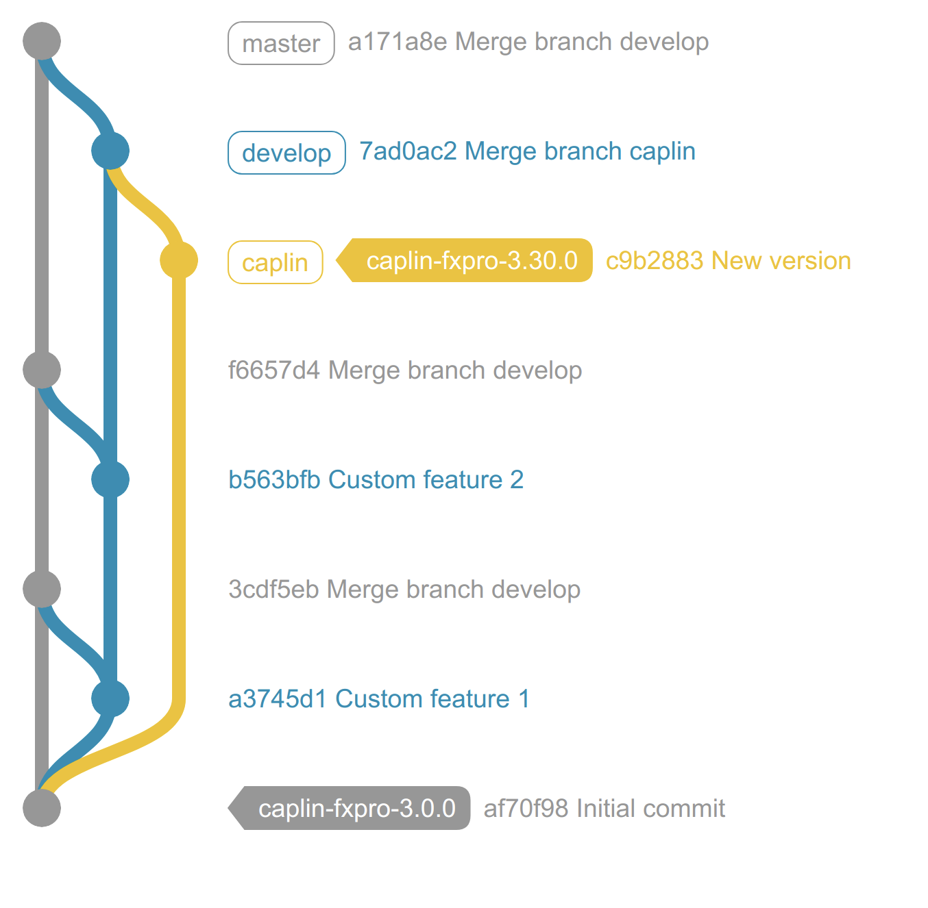 branchingstrategypro