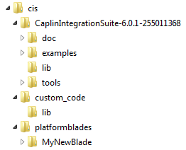 cis cli paths example